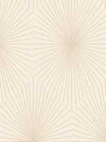 Astra Stellar Wallpaper WTG-265640 by Koroseal Wallpaper for sale at Wallpapers To Go