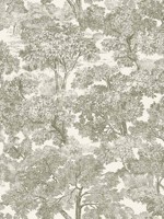 Spinney Green Toile Wallpaper WTG-266272 by Chesapeake Wallpaper for sale at Wallpapers To Go