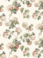 Sussex Hydrangea Soft Gold Fabric WTG-266797 by Anna French Fabrics for sale at Wallpapers To Go