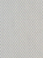 Josephine Mineral Fabric WTG-266830 by Thibaut Fabrics for sale at Wallpapers To Go