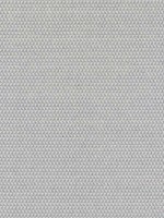 Pollux Sterling Fabric WTG-266838 by Thibaut Fabrics for sale at Wallpapers To Go