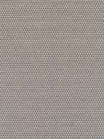 Pollux Charcoal Fabric WTG-266840 by Thibaut Fabrics for sale at Wallpapers To Go