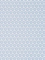 Genie Powder Fabric WTG-266853 by Thibaut Fabrics for sale at Wallpapers To Go
