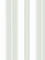 Norfolk Stripe Willow Wallpaper WTG-269116 by Thibaut Wallpaper for sale at Wallpapers To Go