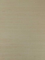 Rafia Plain Beige Wallpaper WTG-269986 by Armani Casa Wallpaper for sale at Wallpapers To Go