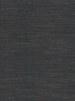 Winn Black Faux Grasscloth Wallpaper WTG-270280 by Warner Wallpaper for sale at Wallpapers To Go