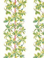 Mangrove Tree Coral Fabric WTG-271338 by Thibaut Fabrics for sale at Wallpapers To Go
