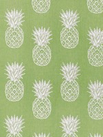 Pina Colada Kiwi Fabric WTG-271966 by Thibaut Fabrics for sale at Wallpapers To Go