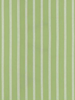 Seaside Stripe Kiwi Fabric WTG-271976 by Thibaut Fabrics for sale at Wallpapers To Go