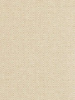 Theo Straw Fabric WTG-274610 by Thibaut Fabrics for sale at Wallpapers To Go