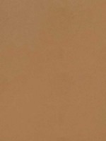 Cordoba Saddle Fabric WTG-274637 by Thibaut Fabrics for sale at Wallpapers To Go