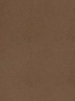 Cordoba Acorn Fabric WTG-274639 by Thibaut Fabrics for sale at Wallpapers To Go