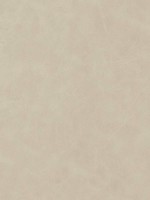 Cabretta Bisque Fabric WTG-274671 by Thibaut Fabrics for sale at Wallpapers To Go