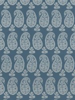 Campainia Paisley Blue Fabric WTG-274719 by Anna French Fabrics for sale at Wallpapers To Go