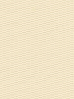 Solids/Plain Cloth Fabrics