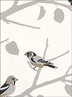 A Twitter Winter Wallpaper 5005030 by Schumacher Wallpaper for sale at Wallpapers To Go